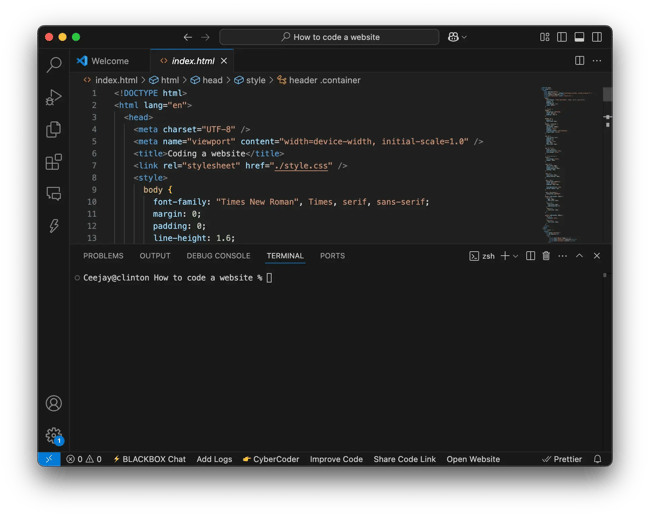 how to code vscode terminal